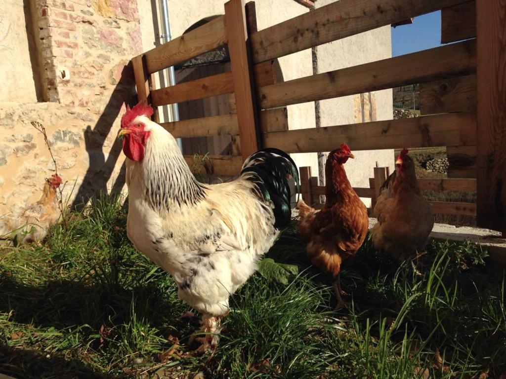 Villa Agriturismo Fattoria Togonegro Marostica Exterior foto