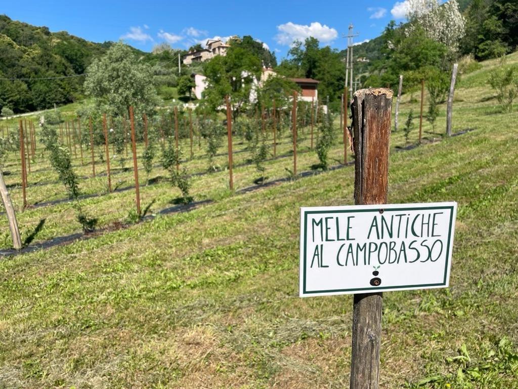 Villa Agriturismo Fattoria Togonegro Marostica Exterior foto